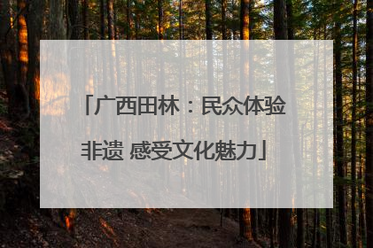 广西田林：民众体验非遗 感受文化魅力