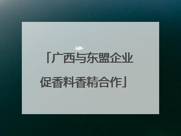 广西与东盟企业促香料香精合作