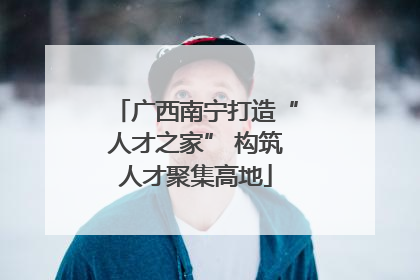 广西南宁打造“人才之家” 构筑人才聚集高地