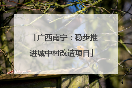 广西南宁：稳步推进城中村改造项目