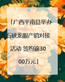 广西平南县举办石硖龙眼产销对接活动 签约逾3000万元