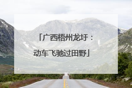 广西梧州龙圩：动车飞驰过田野