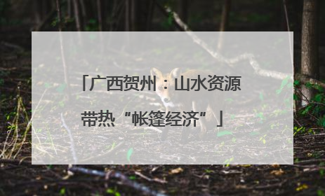 广西贺州：山水资源带热“帐篷经济”