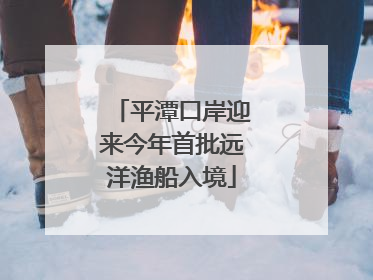 平潭口岸迎来今年首批远洋渔船入境