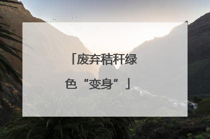 废弃秸秆绿色“变身”