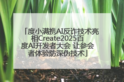 度小满携AI反诈技术亮相Create2025百度AI开发者大会 让参会者体验防深伪技术