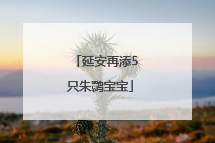 延安再添5只朱鹮宝宝