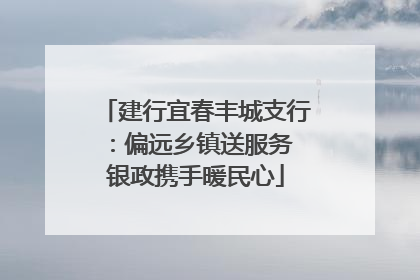 建行宜春丰城支行：偏远乡镇送服务 银政携手暖民心