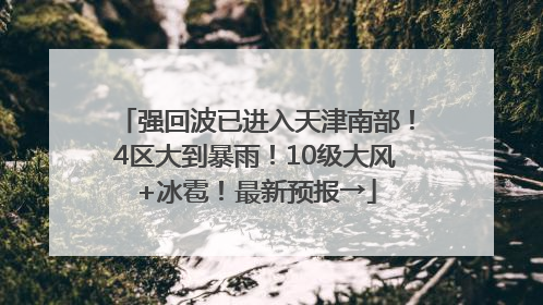 强回波已进入天津南部！4区大到暴雨！10级大风+冰雹！最新预报→