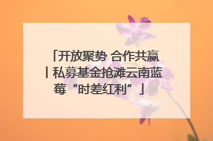 开放聚势 合作共赢丨私募基金抢滩云南蓝莓“时差红利”