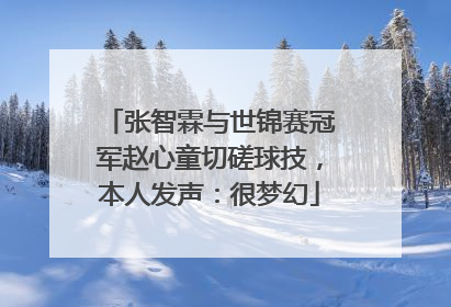 张智霖与世锦赛冠军赵心童切磋球技，本人发声：很梦幻