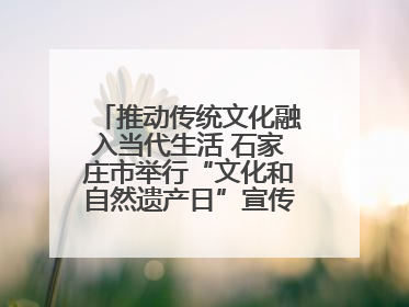 推动传统文化融入当代生活 石家庄市举行“文化和自然遗产日”宣传展示活动