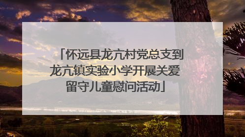 怀远县龙亢村党总支到龙亢镇实验小学开展关爱留守儿童慰问活动