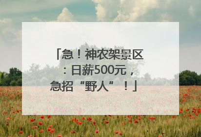 急！神农架景区：日薪500元，急招“野人”！