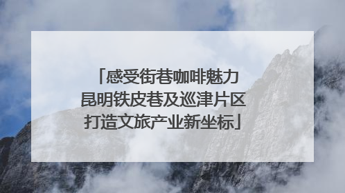 感受街巷咖啡魅力 昆明铁皮巷及巡津片区打造文旅产业新坐标