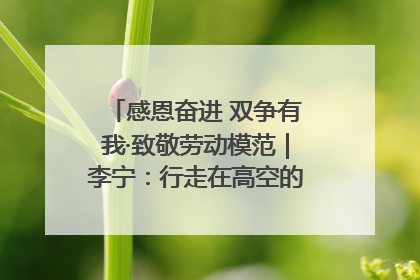 感恩奋进 双争有我·致敬劳动模范｜李宁：行走在高空的“电网卫士”