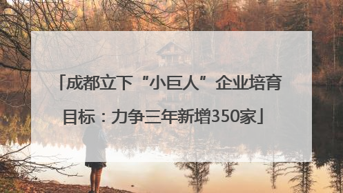 成都立下“小巨人”企业培育目标：力争三年新增350家