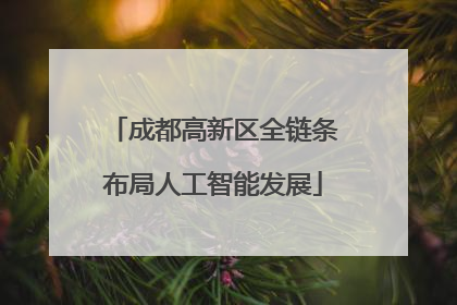成都高新区全链条布局人工智能发展