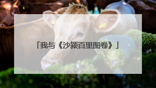 我与《沙颍百里图卷》