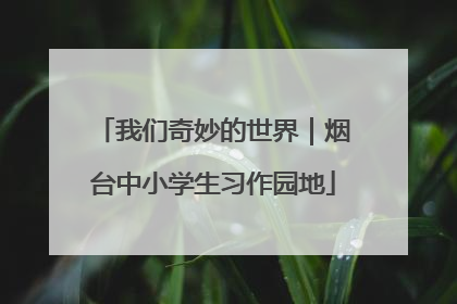 我们奇妙的世界｜烟台中小学生习作园地