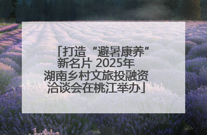 打造“避暑康养”新名片 2025年湖南乡村文旅投融资洽谈会在桃江举办