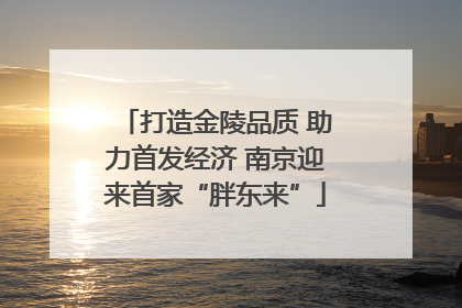 打造金陵品质 助力首发经济 南京迎来首家“胖东来”