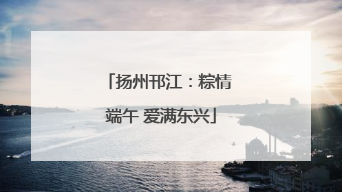扬州邗江：粽情端午 爱满东兴