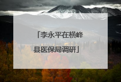 李永平在横峰县医保局调研
