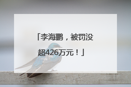 李海鹏，被罚没超426万元！