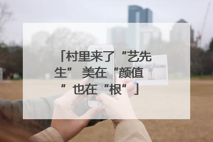 村里来了“艺先生” 美在“颜值”也在“根”