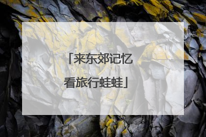来东郊记忆 看旅行蛙蛙