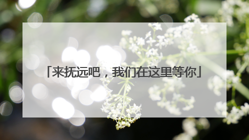 来抚远吧，我们在这里等你