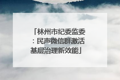 林州市纪委监委：民声微信群激活基层治理新效能