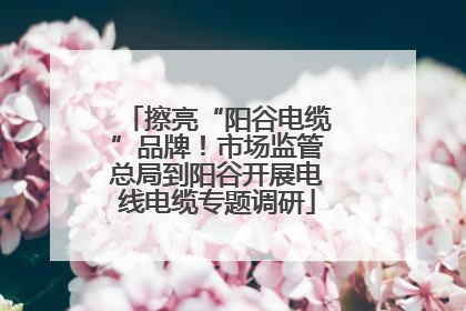 擦亮“阳谷电缆”品牌！市场监管总局到阳谷开展电线电缆专题调研