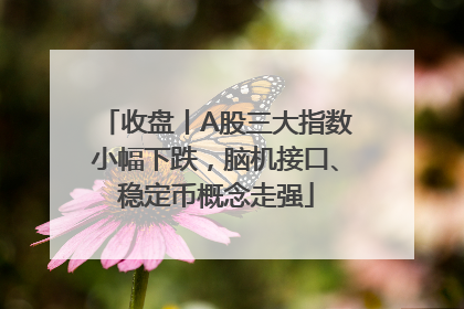 收盘丨A股三大指数小幅下跌，脑机接口、稳定币概念走强