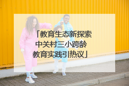 教育生态新探索 中关村三小跨龄教育实践引热议