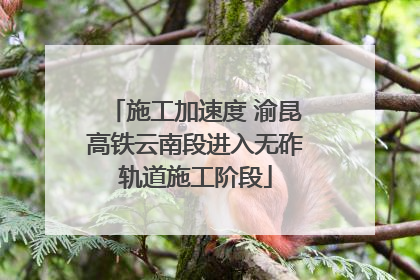 施工加速度 渝昆高铁云南段进入无砟轨道施工阶段