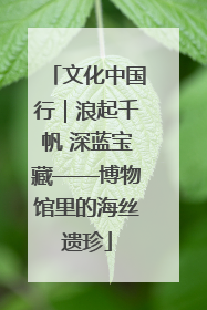 文化中国行｜浪起千帆 深蓝宝藏——博物馆里的海丝遗珍