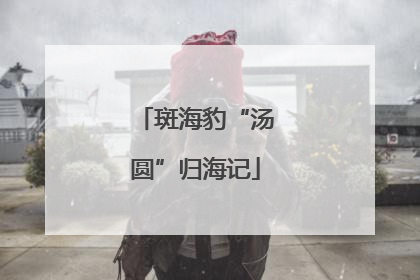 斑海豹“汤圆”归海记