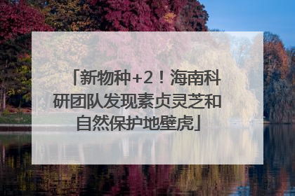 新物种+2！海南科研团队发现素贞灵芝和自然保护地壁虎