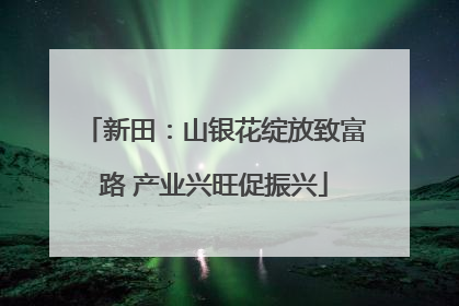 新田：山银花绽放致富路 产业兴旺促振兴