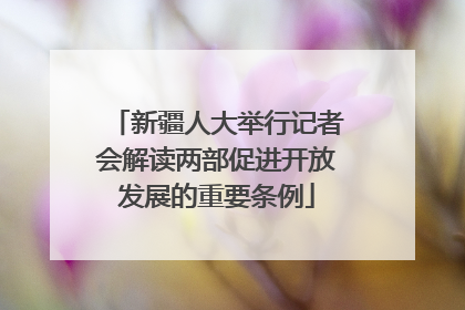 新疆人大举行记者会解读两部促进开放发展的重要条例