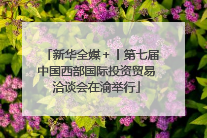 新华全媒＋丨第七届中国西部国际投资贸易洽谈会在渝举行