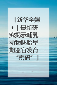 新华全媒+｜最新研究揭示哺乳动物胚胎早期器官发育“密码”