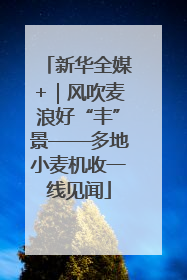 新华全媒+｜风吹麦浪好“丰”景——多地小麦机收一线见闻