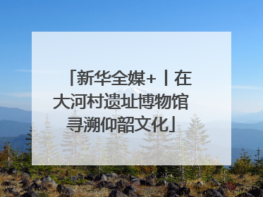 新华全媒+丨在大河村遗址博物馆寻溯仰韶文化