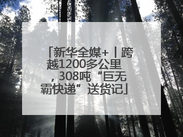 新华全媒+丨跨越1200多公里，308吨“巨无霸快递”送货记