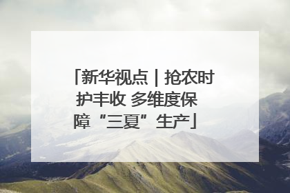 新华视点｜抢农时 护丰收 多维度保障“三夏”生产