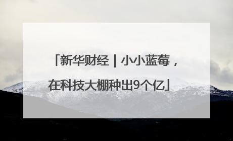 新华财经｜小小蓝莓，在科技大棚种出9个亿
