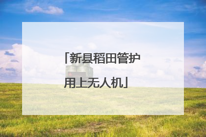 新县稻田管护用上无人机